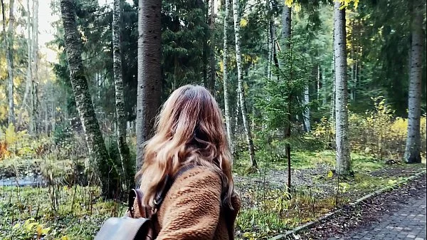 Get lost in Wonderlands