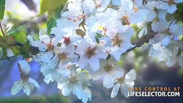 Out of Control Wedding with Riley Reid & Bridesmaids