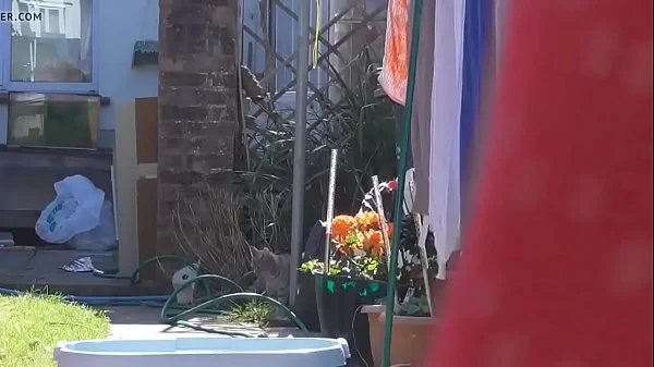 spare pegs h. washing