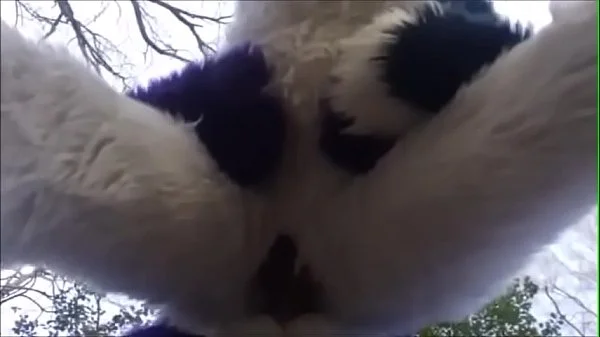 Fursuit Couple Mating in Woods