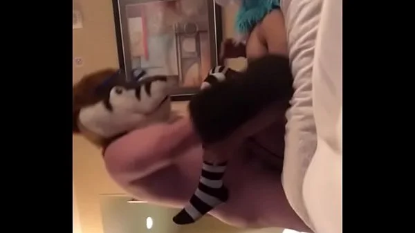 Getting nailed by a fox