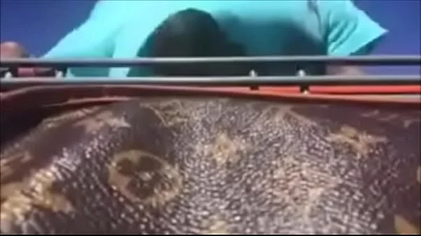 Public Titties flashing