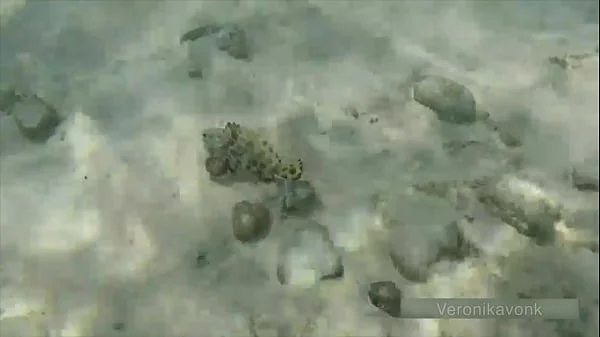 PUBLIC EXHIBITIONIST GERMAN TEEN VERONIKAVONK WITH BIG BOOBS ON THE SEA