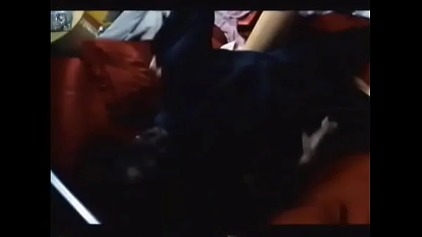 Maria Ribeiro Tolerancia bydino