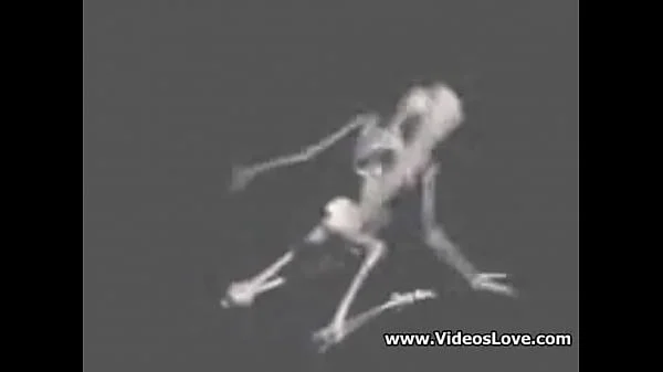 skeletons fucking and sucking