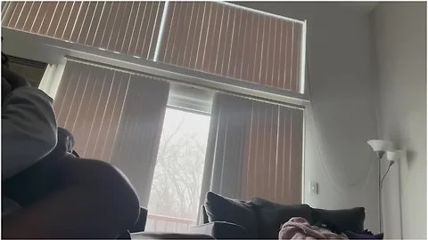 Love Making On The Couch (creampie)