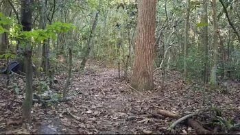 Gabi Sweet Naked In Woods Meets Stranger For Public Blowjob & Fuck