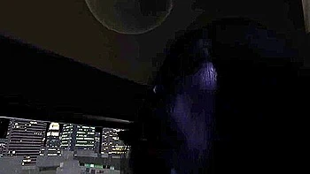 A Guy Watched The Wrong Video