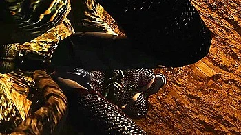 Horny Troll Teases And Fucks A Submissive Khajiit