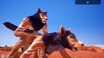 Wild Life - Fox Fucking In The Desert