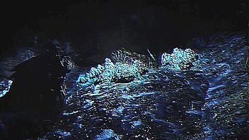 Danger Under Frostflow Lighthouse 6:03 By Danger Hmv