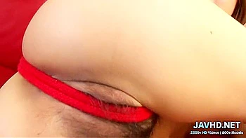 Delicate And Soft Intimate Bushes Vol 68