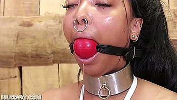 Thiccy Niccy Pump Training