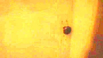 Crazy Japanese chick Saori Hara in Horny Compilation JAV video