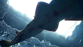 エキゾチックな日本のモデルAkubi Asakaraが最高の巨乳、フェラチオのJavクリップで