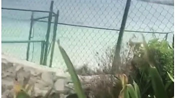 Summer Rose And Marc Rose In British Milf Holidaymaker Sucks And Fucks On The Beach In Cancun