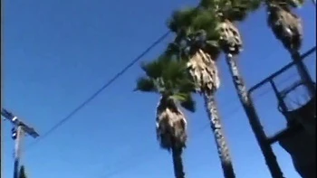 Rio Mariah, Coco Pink And Kody Coxxx - How To Seduction