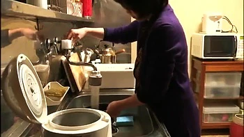 ZNB196-NREEFFBFVS931026900