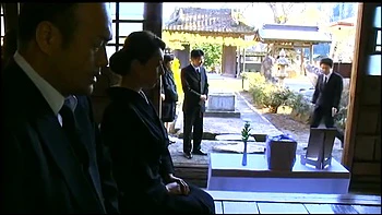 DZD550-DBIPZHAREG285496567