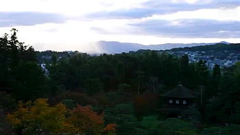 XRX003-XMPNZDCEAQ975926116