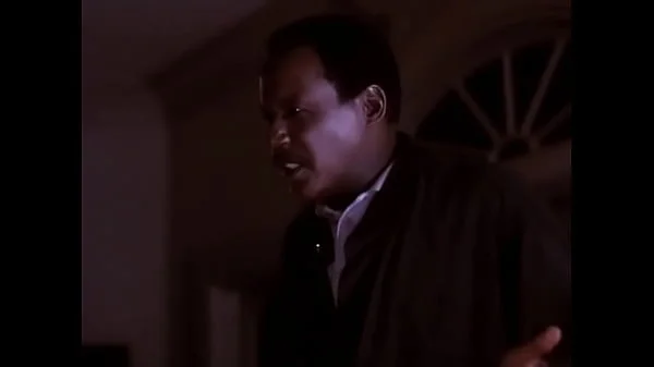 Body of Influence (1993)