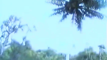 Fabulous Sex Movie Public Greatest Only For You