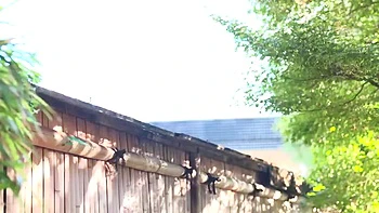 153-youth-with-areare-iab