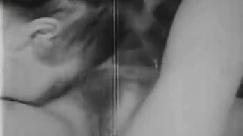 Kutie Kut Ups Site Seer