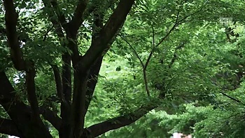 x2x7602806FF3031199B6