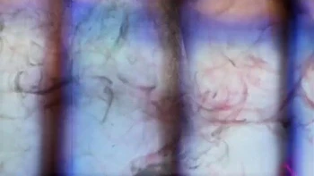 Havana Sin, Paige Fox And Seth Strong - New Roommate Shown How Dominant I Am During Sex