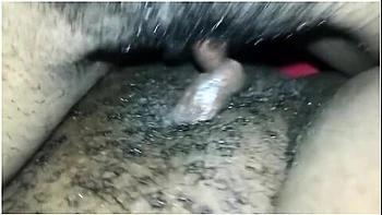 Ebony Lesbians Tribbing