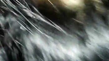 Mallu Blow Job And Ass Fucking