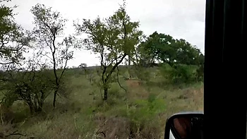 Super Tight Ebony Pussy Pounded By BWC