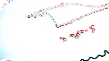 SYDNEYSCREAMS   Cum On My Feet