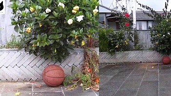 Amateur asian teen licks ass and sucks cock