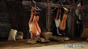 Watch Charming Amateurs