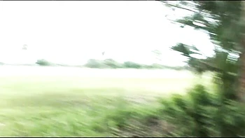 DreamGirls Members - hd action