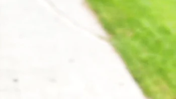 Mysterious Nicole Doshi - blowjob smut - Mr Lucky Life