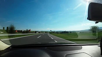 How Many Times Katty Peed On A 10h Road Trip