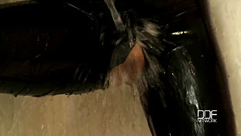 Bartroom dildoing in latex