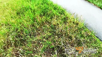 Harleen's wild public park blowjob and fuck