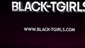 Black Trans Girl Sugar Masturbates in Lingerie