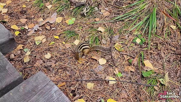 Walking with my stepsister in the forest park. Sex blog, Live video. - POV